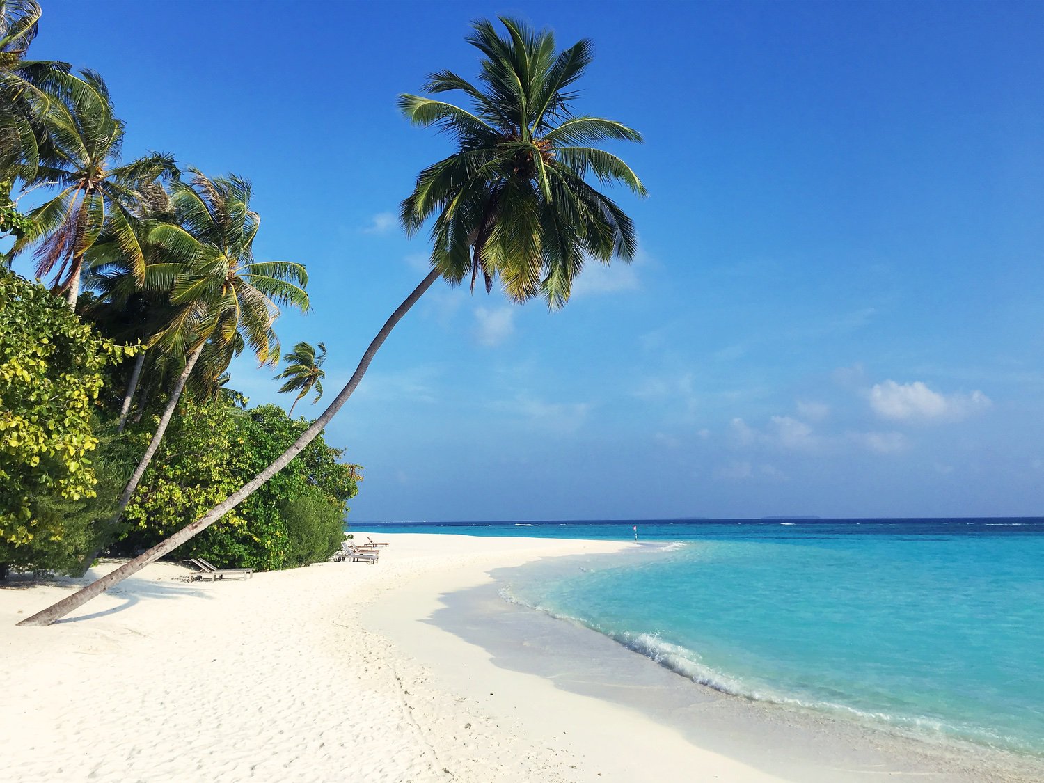 Maldives-Travel-2